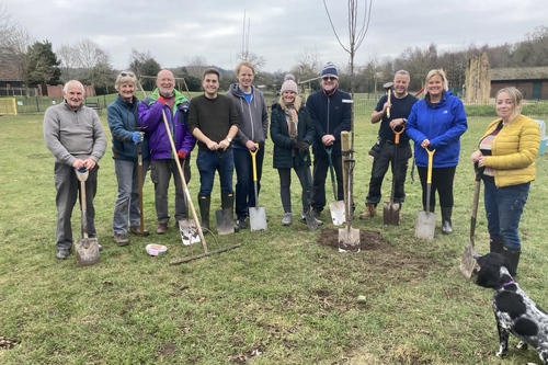 lickey end tree planting